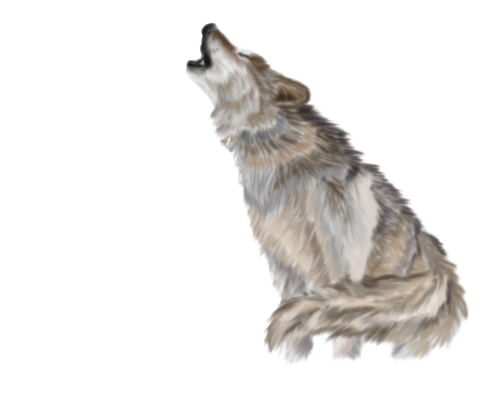 Howling Wolf Painting Art Free Download