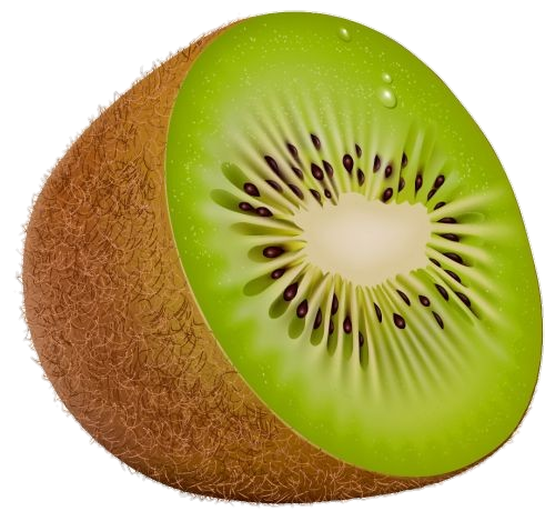 Half Kiwi Fruit Realistic Free Download