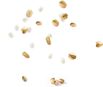 Dry Fruits PNG – Healthy & Nutritious Transparent Images FREE Download 9