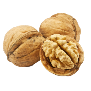 Dry Fruits PNG – Healthy & Nutritious Transparent Images FREE Download 12