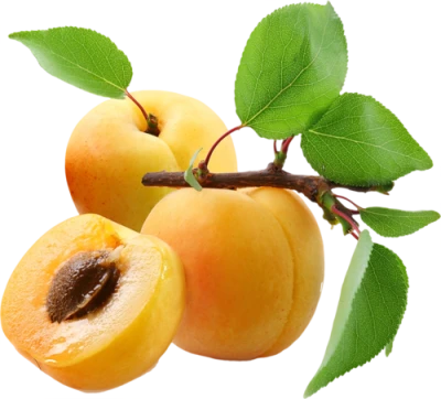 Fresh Ripe Apricots With Green Leaves Free PNG