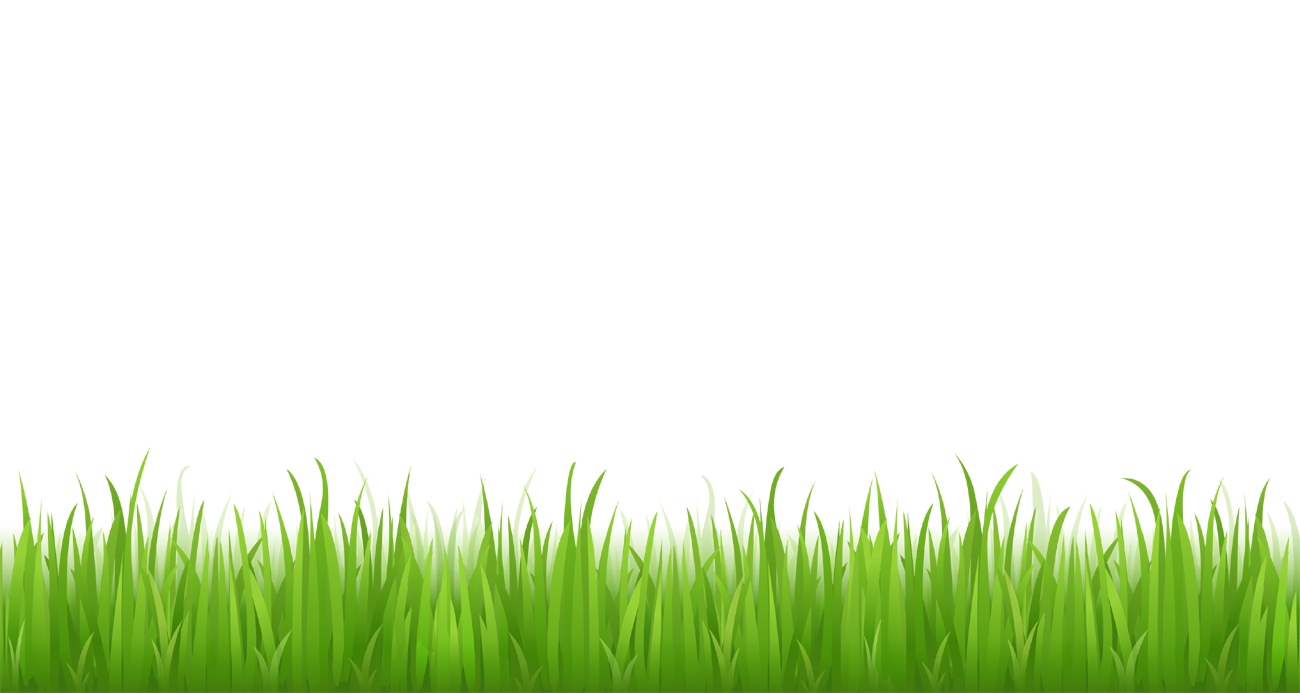 Green Spring Grass Border Clipart