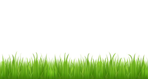 Green Spring Grass Border Clipart