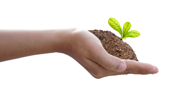 Hand Holding Soil With Plant Sprout PNG Image
