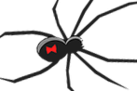 Black Widow Spider Drawing Clipart
