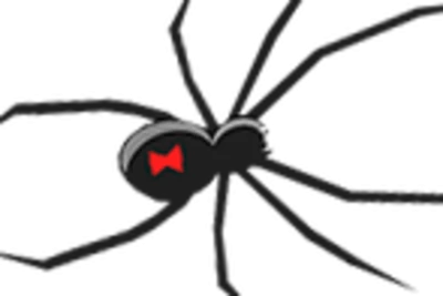Black Widow Spider Drawing Clipart