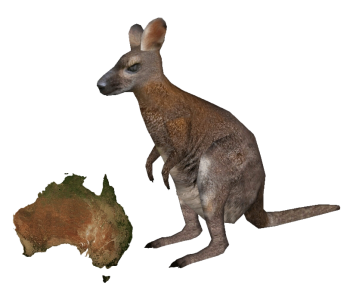 3D Kangaroo With Map Of Australia Clipart