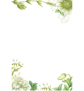 Delicate Green Watercolor Floral Frame Border Free PNG