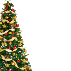 Christmas PNG – Festive & Joyful Transparent Images Download 17