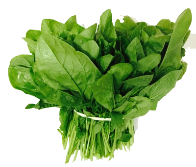 Fresh Green Spinach Bunch Clipart