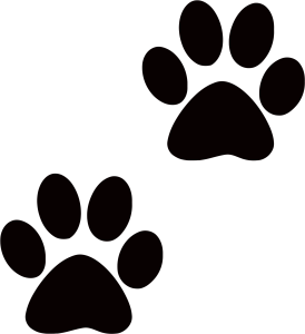 Black Animal Paw Prints Transparent Background