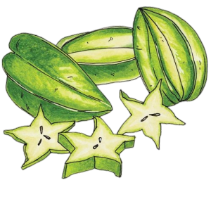 Hand Drawn Star Fruit Illustration Free PNG