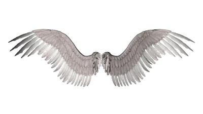 Majestic White Angel Wings PNG