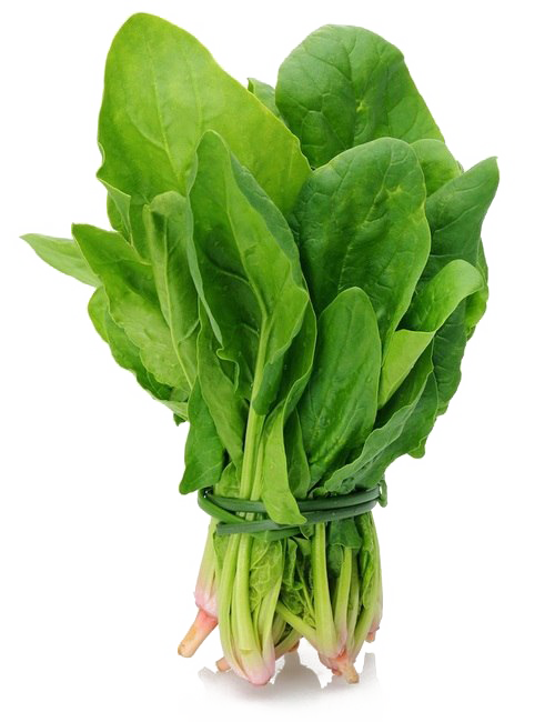 Free Fresh Spinach Bunch PNG