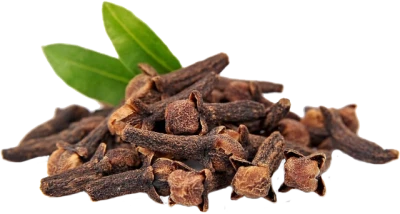 Dry Cloves Spices PNG Image