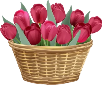 Basket Of Red Tulips Clipart