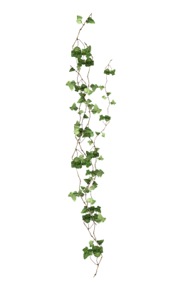 Green leaves with the wind, green leafed plant, branch PNG Image File Free Download – Clickpng