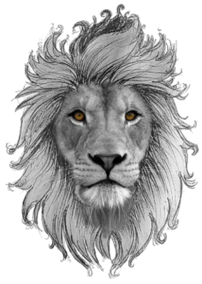 Lion Head Sketch Orange Eyes Free PNG