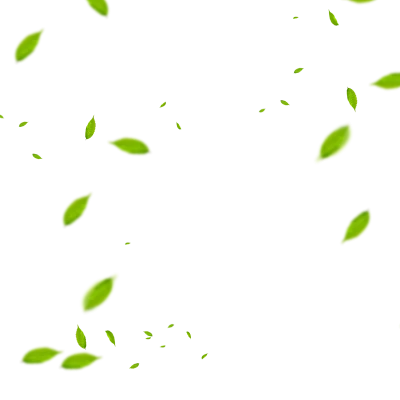 Green leaves, DOF Leaf png, Leaves PNG Image File Free Download – Clickpng