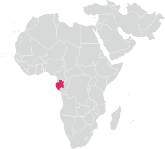Gabon Map High Quality Free PNG