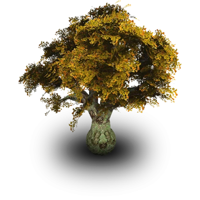 Baobab Tree Illustration Free PNG Image
