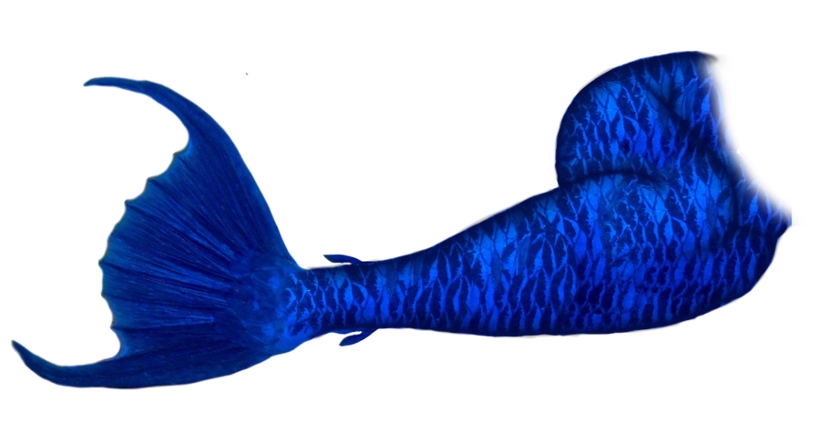 Blue Mermaid Tail Free PNG Image