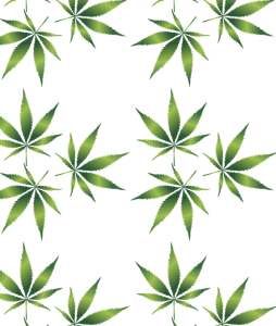 Green Marijuana Leaves Pattern Free Download PNG
