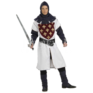 Medieval Knight with Sword PNG Image