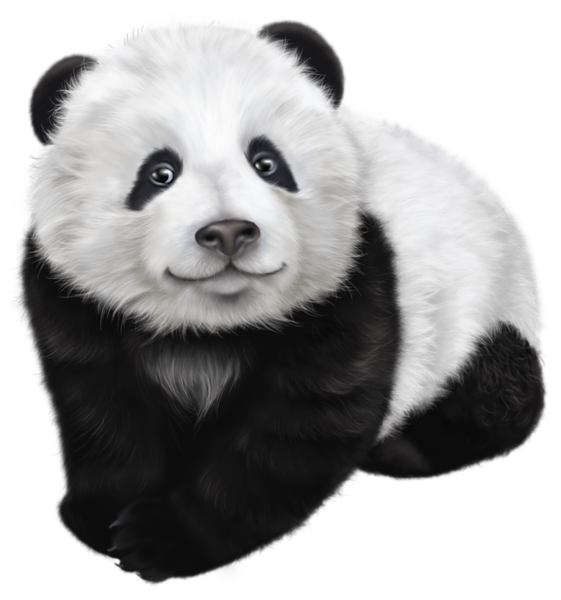 Cute Baby Panda Illustration Clipart