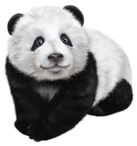 Cute Baby Panda Illustration Clipart
