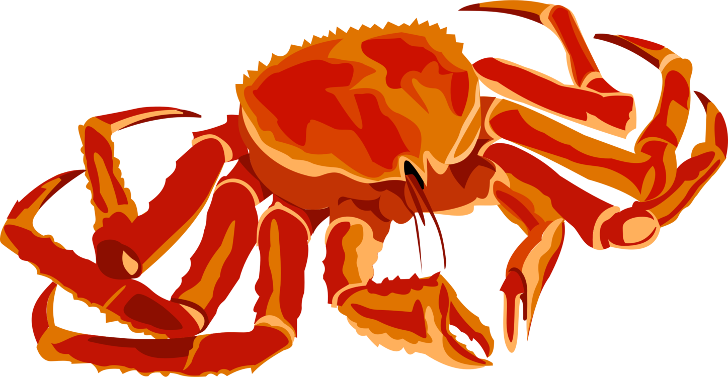 Red Crab Illustration Clipart
