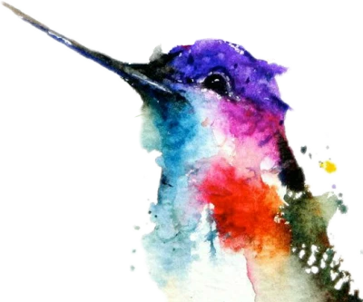 Watercolor Hummingbird Free PNG