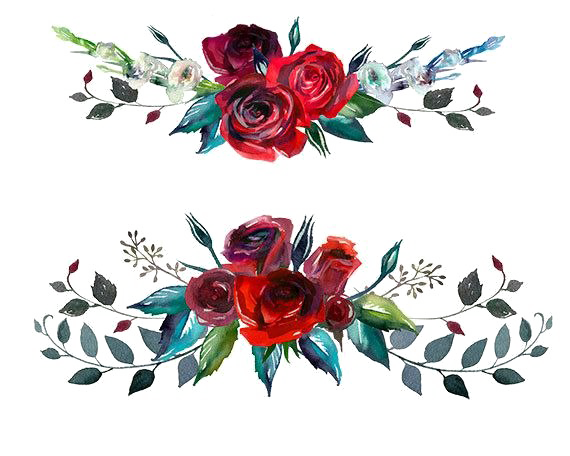 Watercolor Rose Border Bottom Clipart