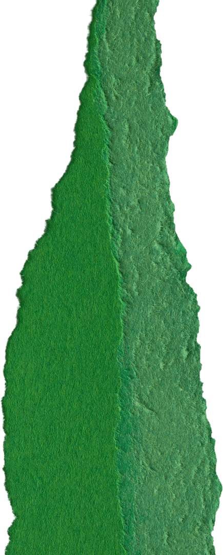 Torn Green Paper Texture Clipart