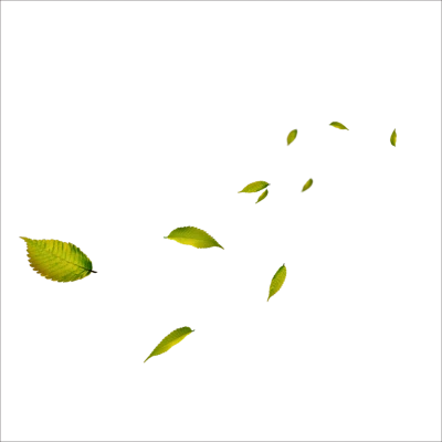 Flying leaf, leaf png, green leaf, tree PNG Image File Free Download – Clickpng