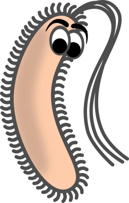 Cartoon Bacteria Microbe PNG Image