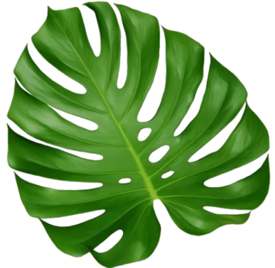 Green Leaf, plant Stem, arecaceae, Leaf Plant PNG Image File Free Download – Clickpng