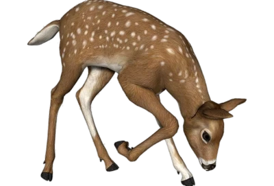Cute Grazing Fawn Deer Free PNG