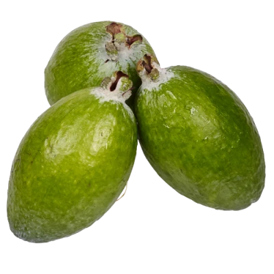 Fresh Feijoa Fruits Clipart Free PNG
