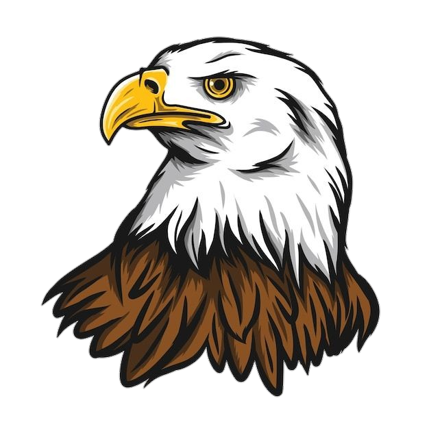 Bald Eagle Head Vector Art Clipart