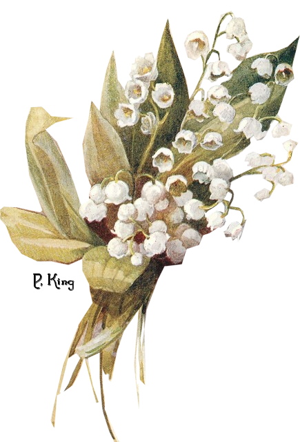 Vintage Lily Of The Valley Art Clipart