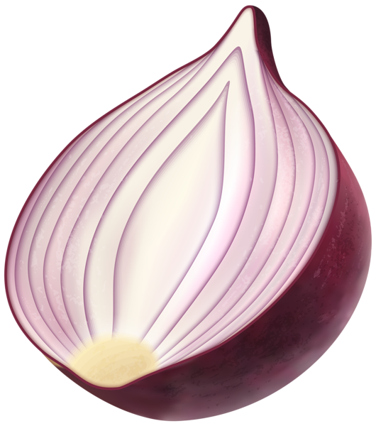 Red Onion Half Clipart Clipart