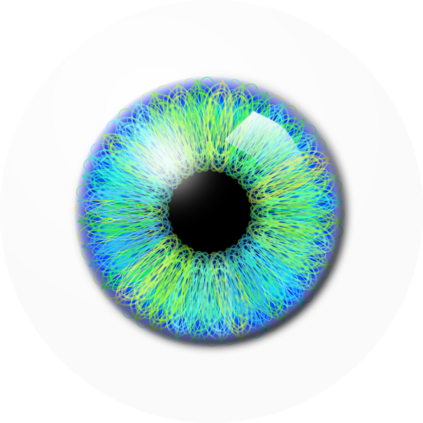 Detailed Blue Green Iris Eye Clipart