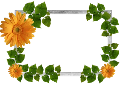 Silver Daisy Flower Frame Free PNG