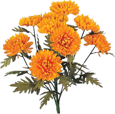 Orange Chrysanthemum Flowers Bouquet Clipart