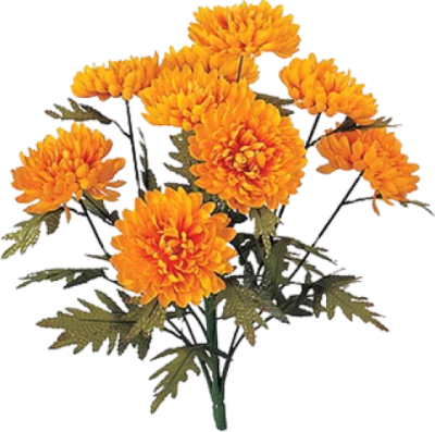 Orange Chrysanthemum Flowers Bouquet Clipart