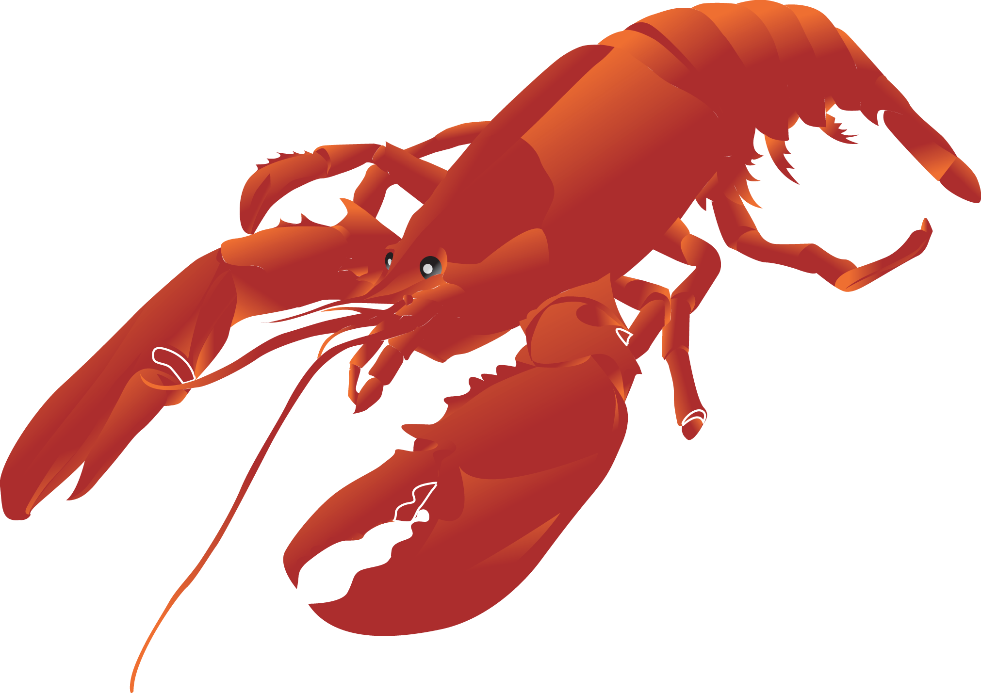 Red Lobster Illustration Clipart