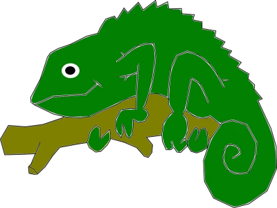 Green Chameleon on Branch Free PNG