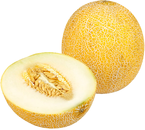 Yellow Melon Cantaloupe Clipart
