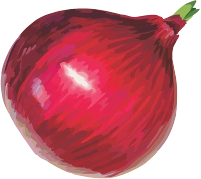 Fresh Red Onion Vegetable Free Clipart